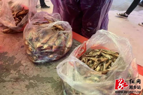 梅龍冬筍俏市場 消費(fèi)扶貧助增收