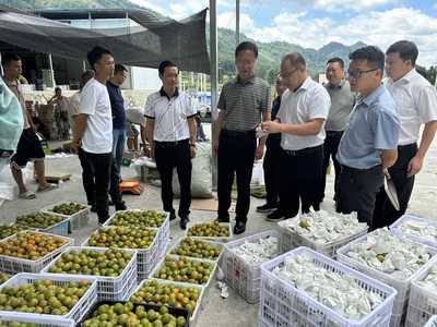 黔南州社:州政協(xié)調(diào)研全州推進(jìn)供銷系統(tǒng)基層社恢復(fù)重建工作