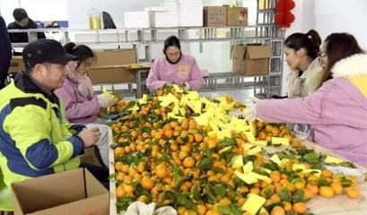 農(nóng)村能做的小生意,年入20萬,前景很不錯,可以一試!