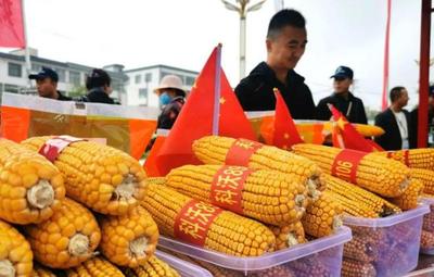 蘭州新區(qū)今天舉辦豐收節(jié)