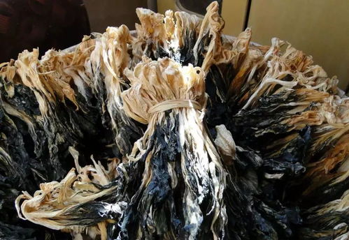秋冬季節(jié),臺(tái)山這兩種食材開(kāi)始上市,煲湯味道一流
