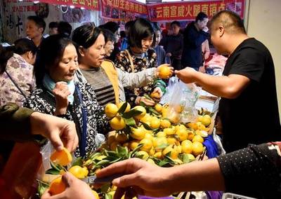喜迎農(nóng)民豐收節(jié),百家農(nóng)產(chǎn)品、服裝服飾廠商齊聚卓刀泉古玩城
