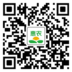 [豬腸 豬小腸價(jià)格10個