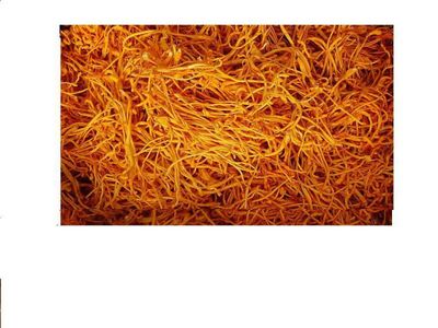 【大量供應(yīng)生態(tài)蔬菜蟲(chóng)草花(黃金草)】?jī)r(jià)格_廠家 - 中國(guó)供應(yīng)商