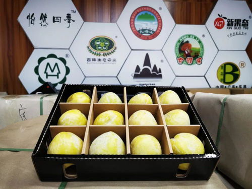 樂昌九峰鎮(zhèn)以黨建引領(lǐng)發(fā)展特色農(nóng)業(yè) 產(chǎn)業(yè)興旺助力脫貧致富