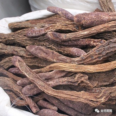 第八屆金塔胡楊文化旅游節(jié)旅游商品紀(jì)念品展評活動方案出爐,拿走不謝!