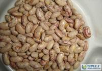 阿榮旗那吉鎮(zhèn)忠山農(nóng)副土特畜產(chǎn)品收購部_世界工廠網(wǎng)全球企業(yè)庫