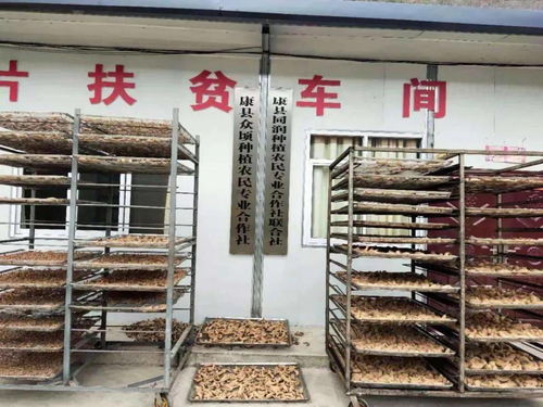 同潤種植農(nóng)民專業(yè)合作社聯(lián)合社 抱團(tuán)發(fā)展,促農(nóng)增收