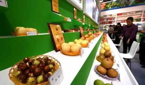 3月17日至19日,我們相約祁陽首屆油菜花節(jié)暨農(nóng)副產(chǎn)品交易會