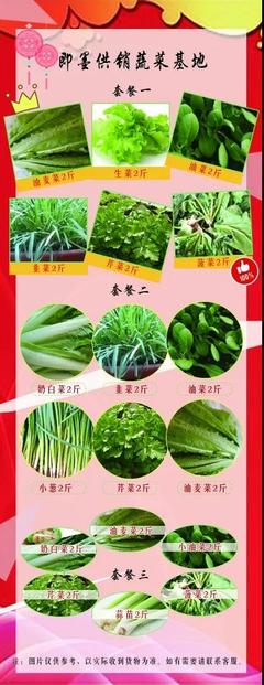 賣難買難平臺辦 戰(zhàn)“疫”山東即墨區(qū)線上供銷凸顯惠民增收效應(yīng)