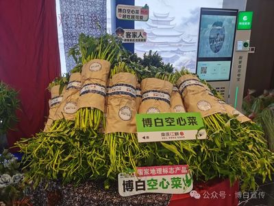 【學(xué)方略 謀創(chuàng)新 抓落實(shí)】南流江畔首屆"博白空心菜"品鮮節(jié)在南寧市青秀區(qū)舉行