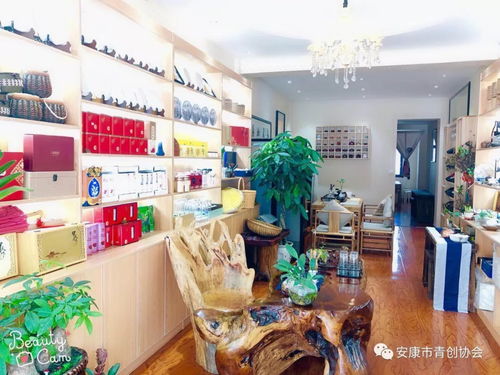 以協(xié)會(huì)為抓手 推動(dòng)企業(yè)發(fā)展 青創(chuàng)走訪側(cè)記 石泉站