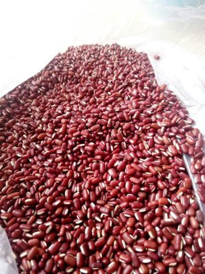 [赤小豆批發(fā)]安徽亳州利辛縣赤小豆 6.50元/斤赤小豆赤小豆農(nóng) _ 一畝田